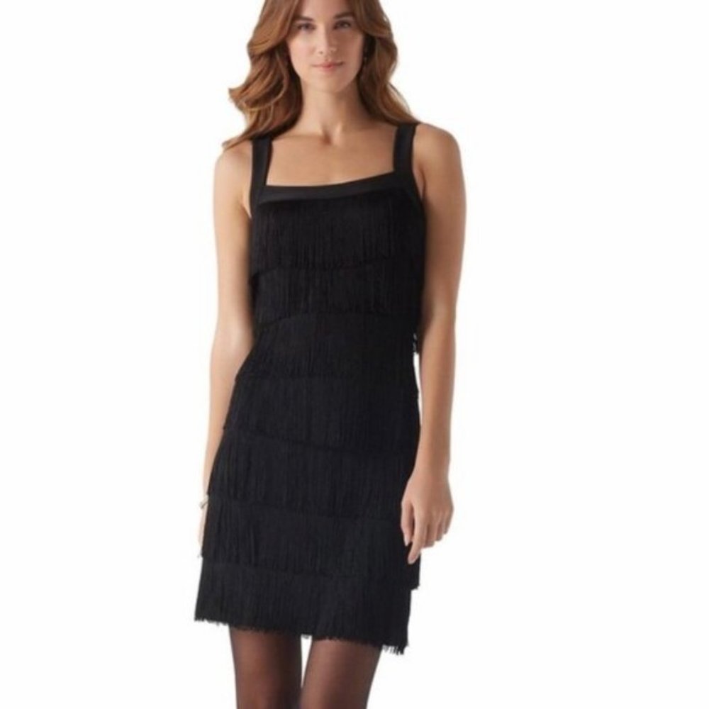 EUC Black Fringe-Flapper Dress, Gatsby/20's/Black Tie - WHBM (US 10) ❧